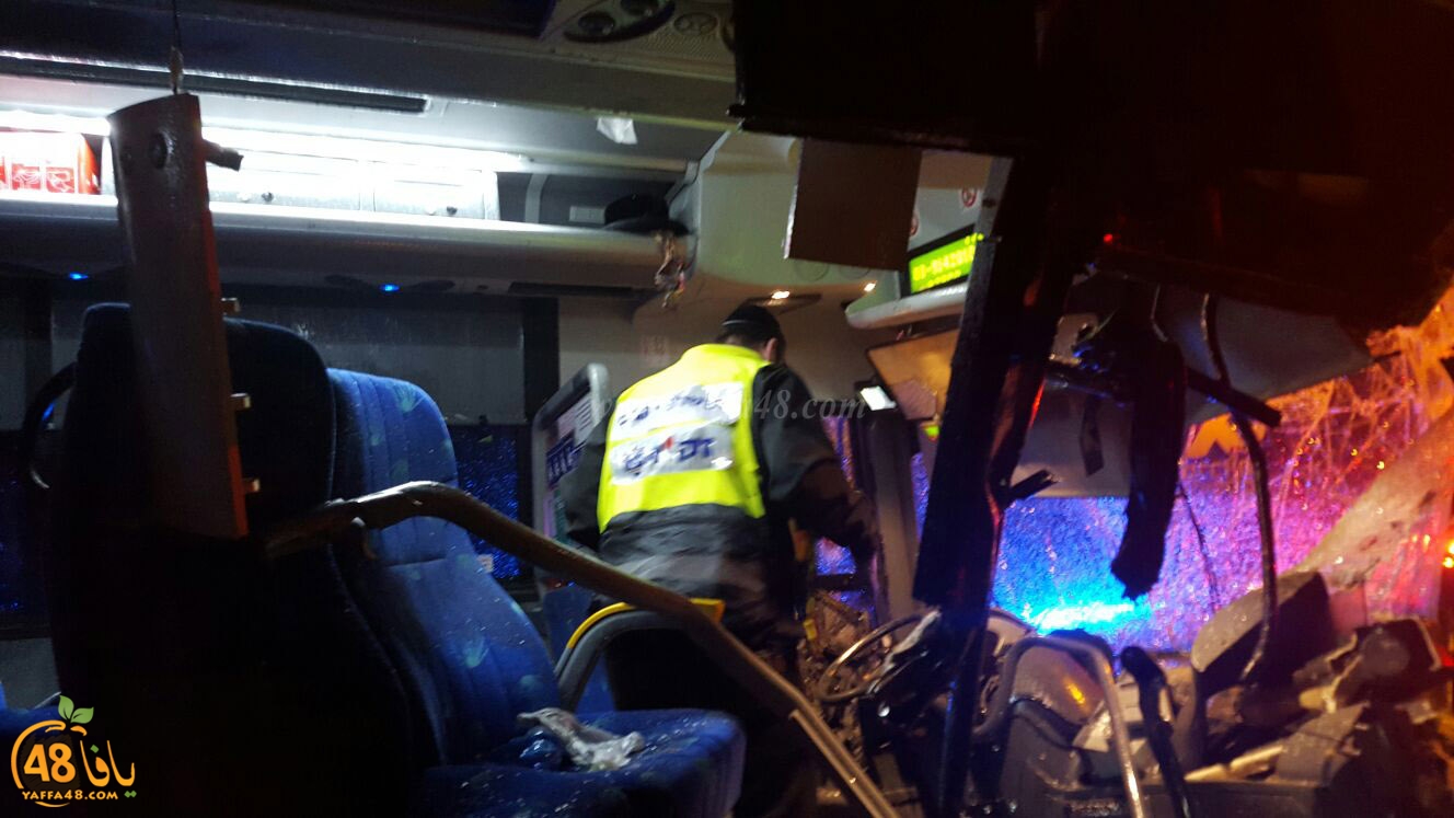 Accjs latroona (11).jpg